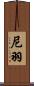 尼羽 Scroll