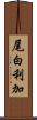 尾白利加 Scroll