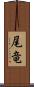 尾竜 Scroll