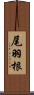 尾羽根 Scroll