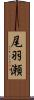 尾羽瀬 Scroll