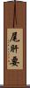 尾肝要 Scroll