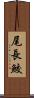 尾長鮫 Scroll