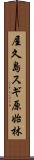 屋久島スギ原始林 Scroll