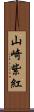 山崎紫紅 Scroll