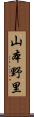 山本野里 Scroll