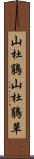 山杜鵑 Scroll