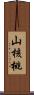 山核桃 Scroll