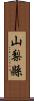 山梨縣 Scroll