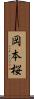 岡本桜 Scroll