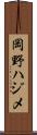 岡野ハジメ Scroll