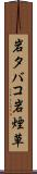 岩タバコ Scroll