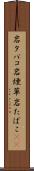 岩タバコ Scroll