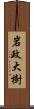 岩政大樹 Scroll