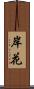 岸花 Scroll