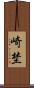 崎埜 Scroll