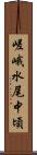 嵯峨水尾中頃 Scroll