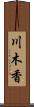 川木香 Scroll