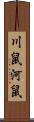 川鼠 Scroll