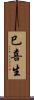 巳喜生 Scroll