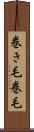 巻き毛 Scroll