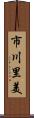 市川里美 Scroll