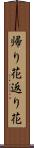 帰り花 Scroll