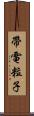 帶電粒子 Scroll