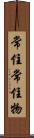 常住常住物 Scroll