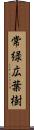 常緑広葉樹 Scroll