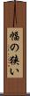 幅の狭い Scroll
