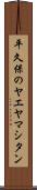 平久保のヤエヤマシタン Scroll