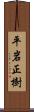 平岩正樹 Scroll