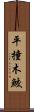 平撞木鮫 Scroll