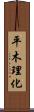 平木理化 Scroll