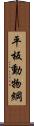 平板動物綱 Scroll