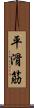 平滑筋 Scroll