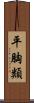 平胸類 Scroll