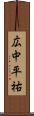 広中平祐 Scroll