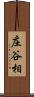 庄谷相 Scroll