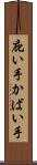 庇い手 Scroll