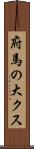 府馬の大クス Scroll