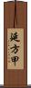 延方甲 Scroll