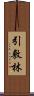 引敷林 Scroll