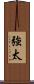 強太 Scroll