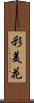彩美花 Scroll