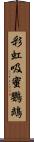 彩虹吸蜜鸚鵡 Scroll