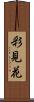 彩見花 Scroll