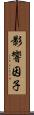影響因子 Scroll