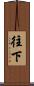 往下 Scroll